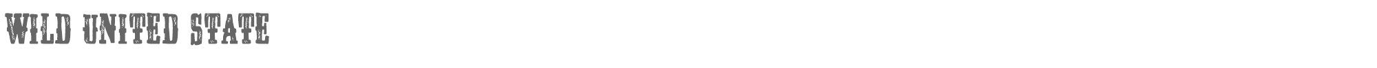 Sample characters Wild United State Font